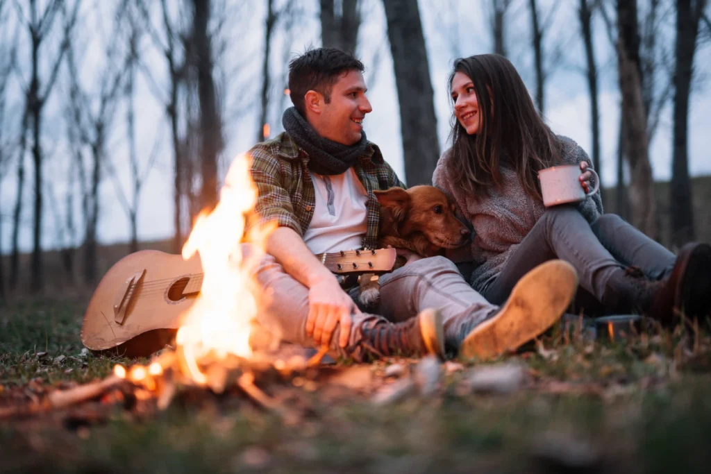Have a Bonfire Night